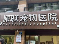 -派联宠物医院·24h·CT·异宠