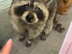 -FAIRYLAND龙族星球主题餐厅(凯丹广场店)