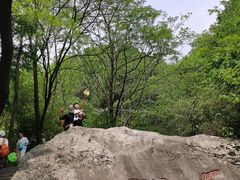 -王顺山国家森林公园