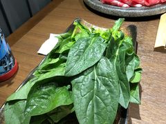 -快乐小羊·内蒙牛羊肉火锅(流花中心店)