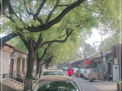 -北京国子监胡同