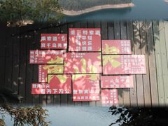 -千岛湖东南湖区