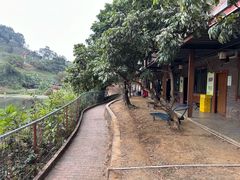 -全汁全味驴庄(凤岗店)