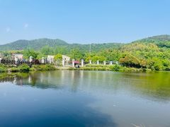 -石塘人家