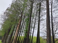 -上海月湖雕塑公园