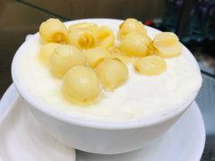 -义顺牛奶公司(新马路老店)