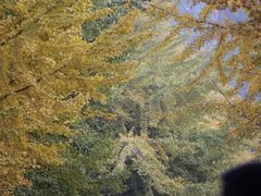 -辽宁大学(崇山校区)