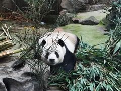 -北京海洋馆
