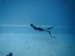 -上海潜殿潜水中心