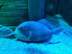 -沈阳海洋探索中心