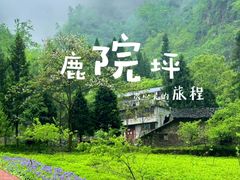-鹿院坪生态旅游景区