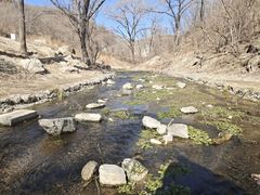 -白水寺森林公园