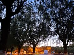 -五环公园