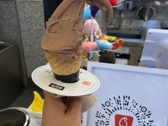-野人先生Gelato(上海长宁龙之梦店)