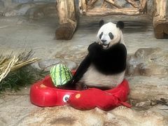 -海南热带野生动植物园