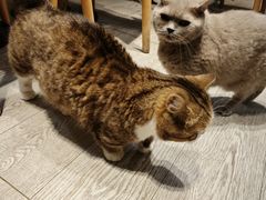-小时光咖啡馆(北锣鼓巷店)