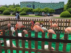 -上海野生动物园