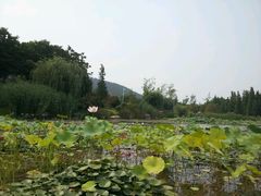android_upload_pic-云龙湖旅游景区