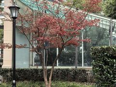 -中山公园