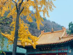 -千佛山风景名胜区