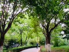 -丰台科技园生态主题公园