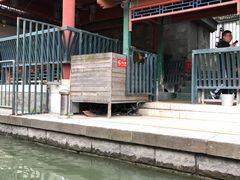 -皇家御河游(紫御湾码头)