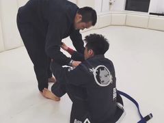 -菠萝格斗巴西柔术训练馆