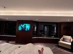 -广州白天鹅宾馆