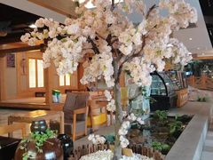 -爱江山温泉(凌奥店)