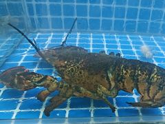 -阿军排档·烧烤