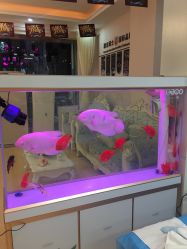 -痘庄科学祛痘国际连锁机构