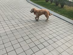 -南丰汇(新港东路店)