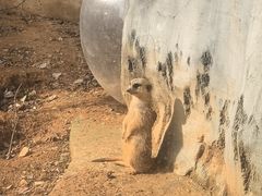 -杭州野生动物世界