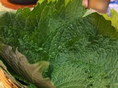 -首尔烤肉大排档(合生汇店)