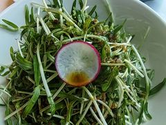 -凤凰湘语(浦东旗舰店)