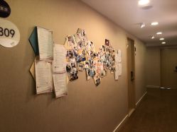 -海豚湾高端月子会所(黄浦店)