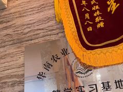 -芭比堂动物医院·心脏科·老年急重症·夜诊·吉雅分院