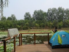 -东郊湿地公园