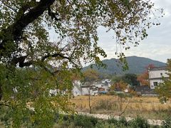 -塔川景区