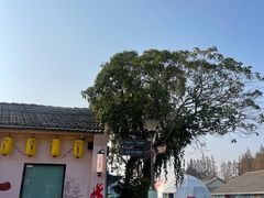 -云间粮仓