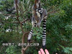 -宁波野生动物园