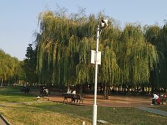 -长春公园(普阳街道)