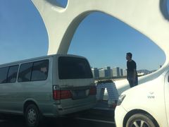 -星光岛