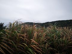 -嵛山岛