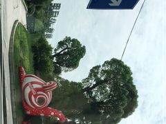 -花溪公园