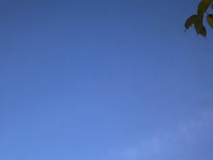 -大连金石滩绿发温泉假日酒店