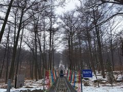 -沂蒙山旅游区云蒙景区(蒙山国家森林公园)