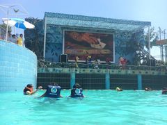 -平江亚马逊水上乐园