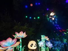 -无锡梅园公园