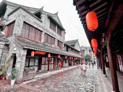 -溱湖国家湿地公园